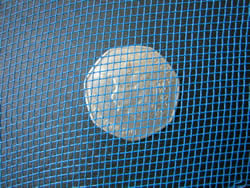 Blue Insect Mesh