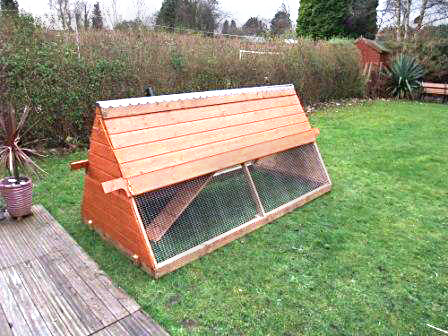 chicken coup