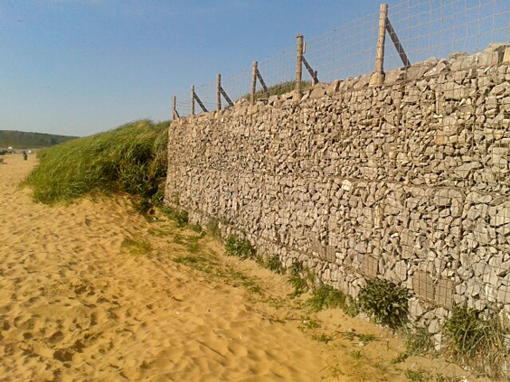 fence posts placed in gabions