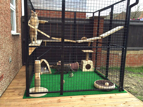 safe outdoor cat play area